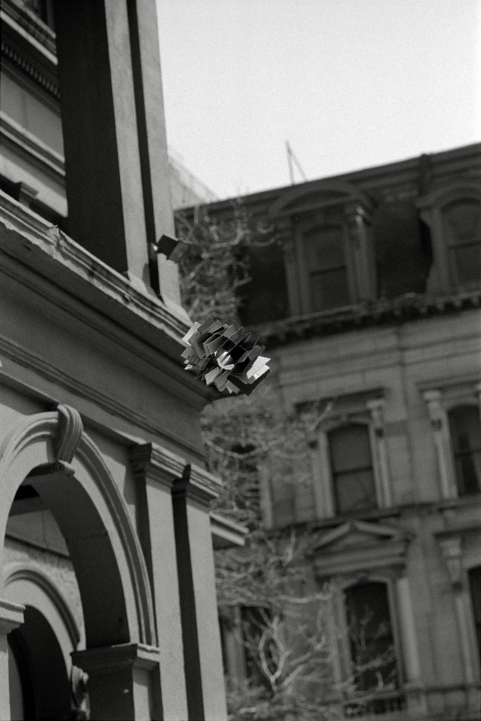 AHP F1995 04 006 sc240817 img32 NLP